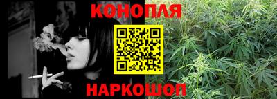 ALPHA PVP Ярославль