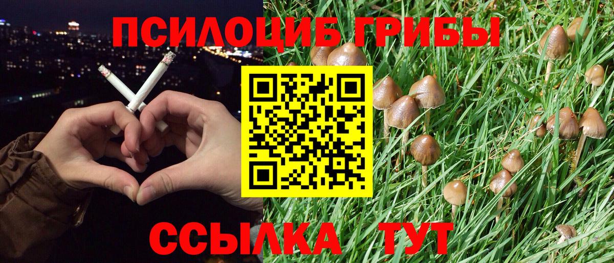 Галлюциногенные грибы Cubensis Батайск